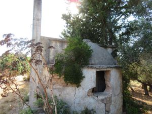 agia-solomoni-(7)