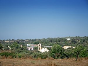 panagia-zwodoxos-pigi-(4)