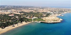 view (1)