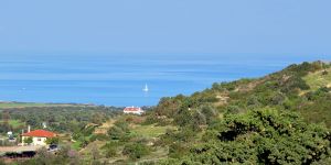 view (15)