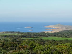 view (4)