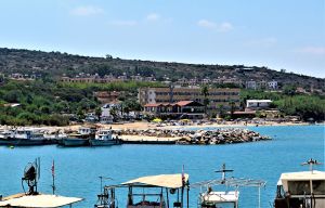 view (9)