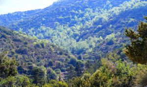 agia-marina-pyrgou (8)