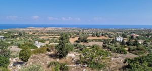 Ο ΚΑΜΠΟΣ ΑΠΟ ΤΗΝ ΑΥΛΗ ΤΟΥ ΑΡΧΑΓ. ΜΙΧΑΗΛ